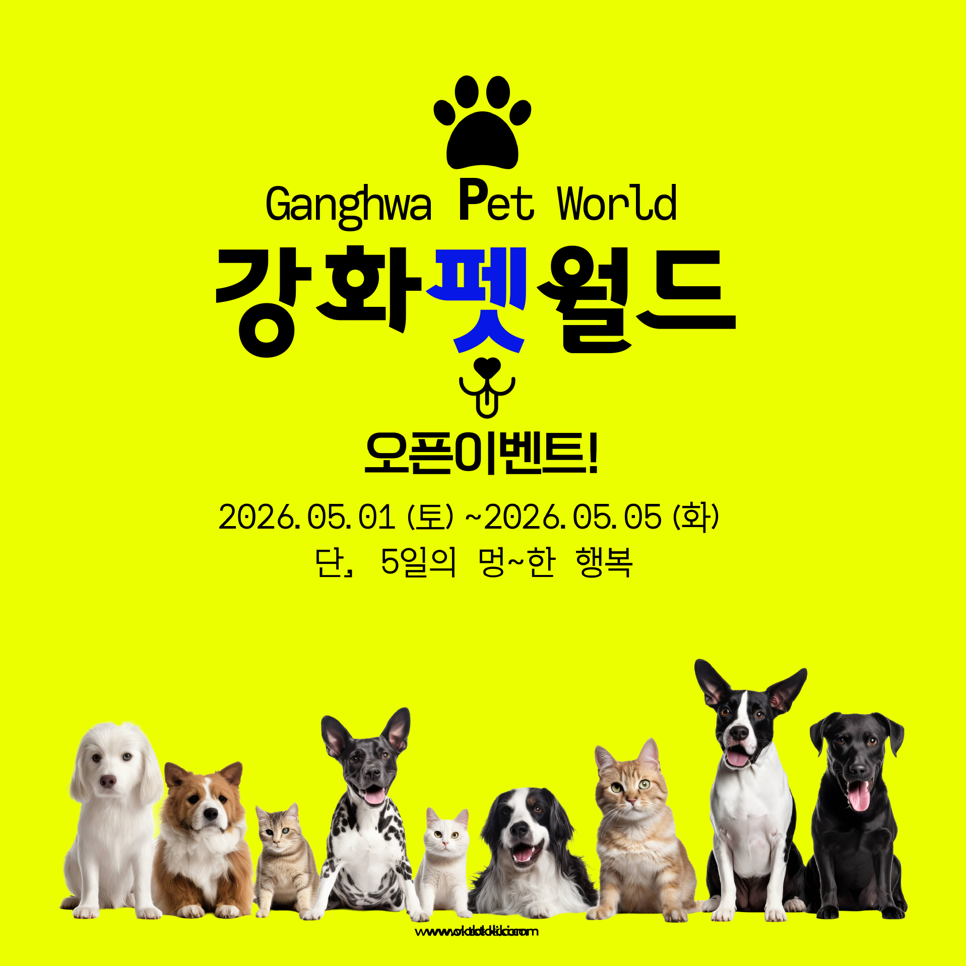 강화 펫 월드 5일간의 오픈이벤트~!!!